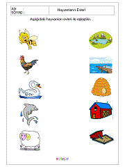 Hayvanlar Nerede Yaşarlar